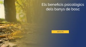 beneficis-psicologics-banys-de-bosc